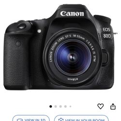 Canon 80d camera body + lens