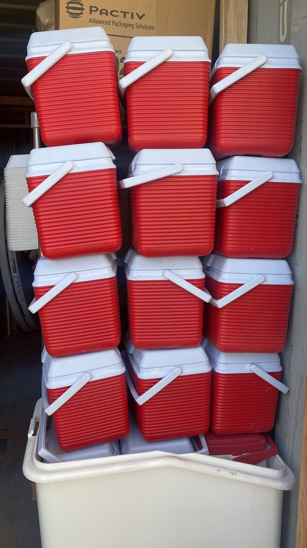 12 Pack Coolers $10 Each