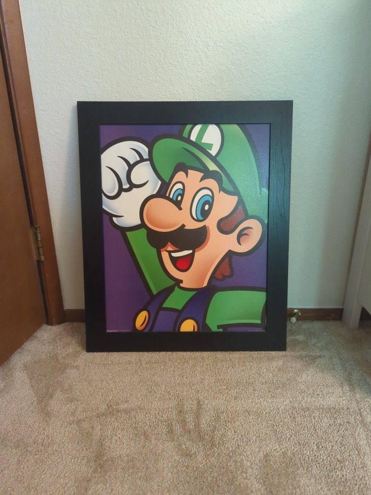 Framed Luigi Picture