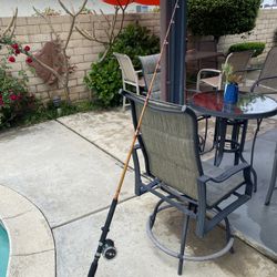 Fenwick PacificStik E-Glass 6’6” Rod And Daiwa 350H Reel Combo