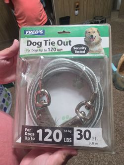 Dog tie out