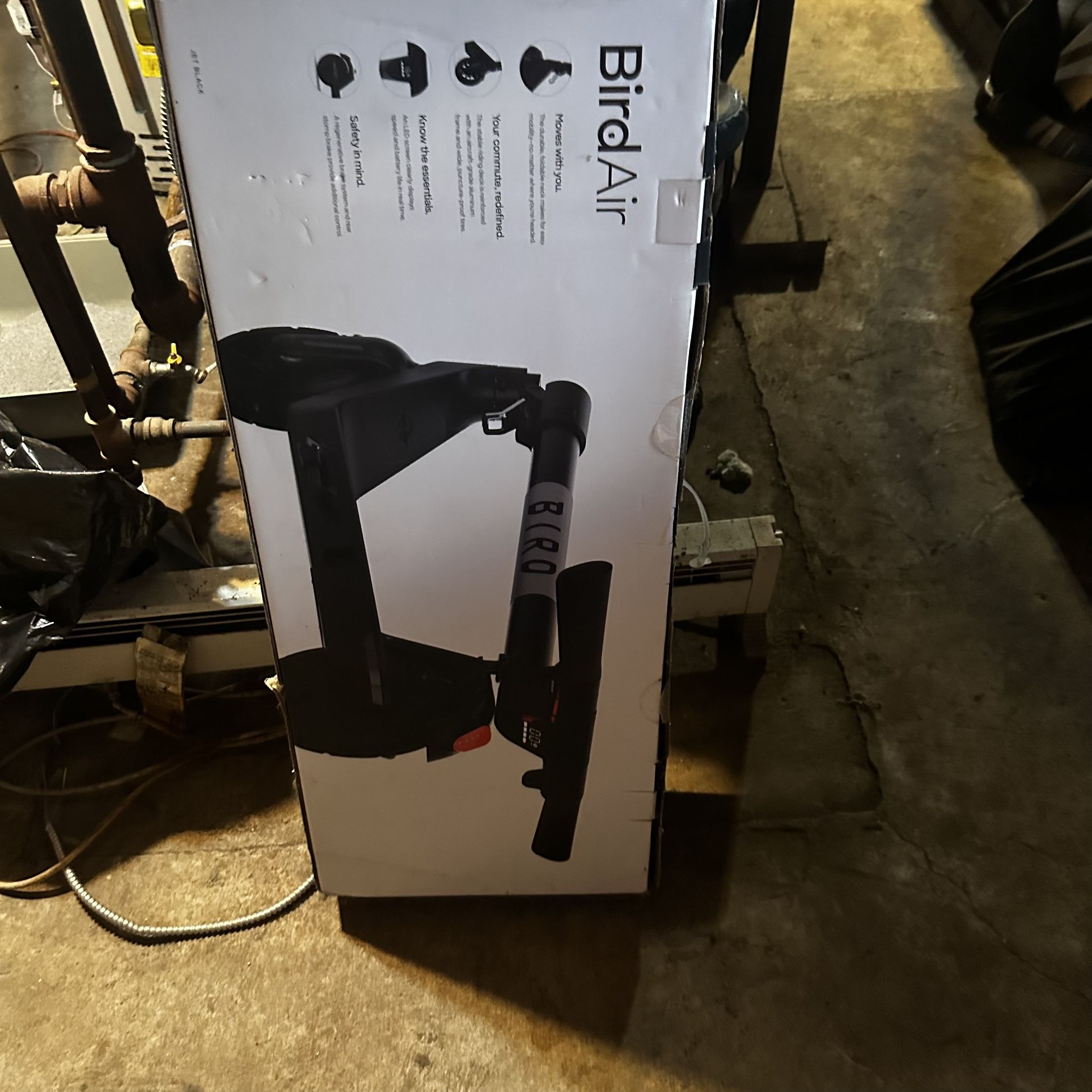 Bird All Electric Scooter