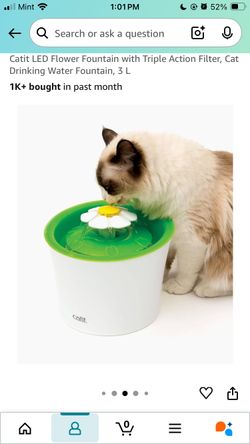 Pet Water Fountain