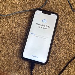 iPhone 13 Work Perfectly Fine 