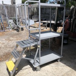 Metal 3 Shelf Rolling Cart With A Ladder