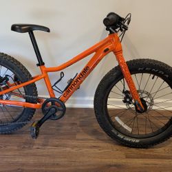 Kids Cannondale Mountain Bike 20-in