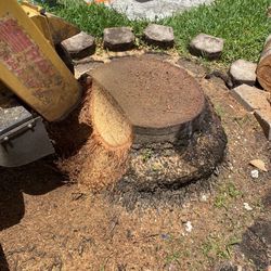 Available Stump Solution 2020