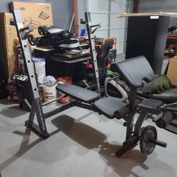 Olympic Surge Weight Bench
