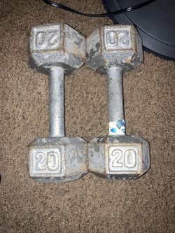 Gym Equipment Weights