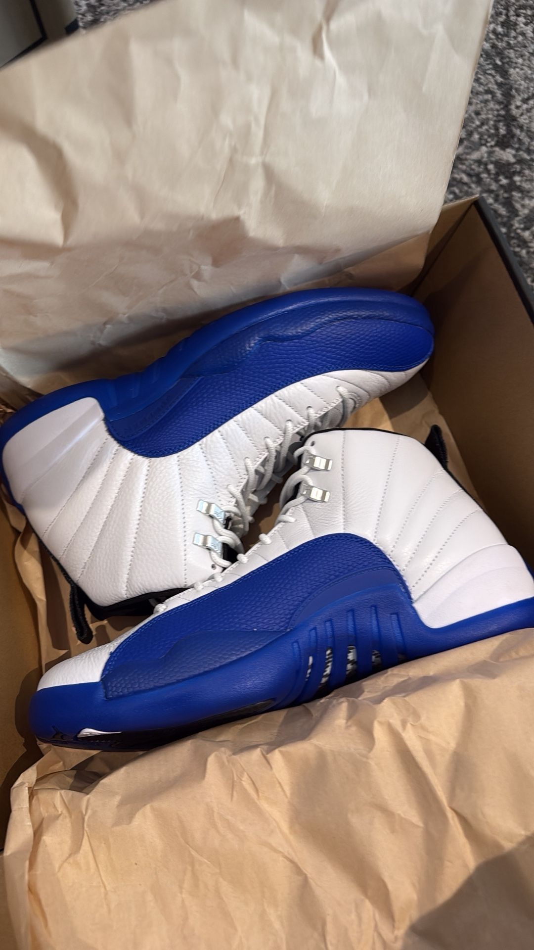 Jordan 12 Blueberry