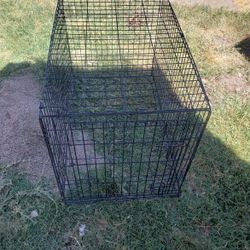 Cage For Sell