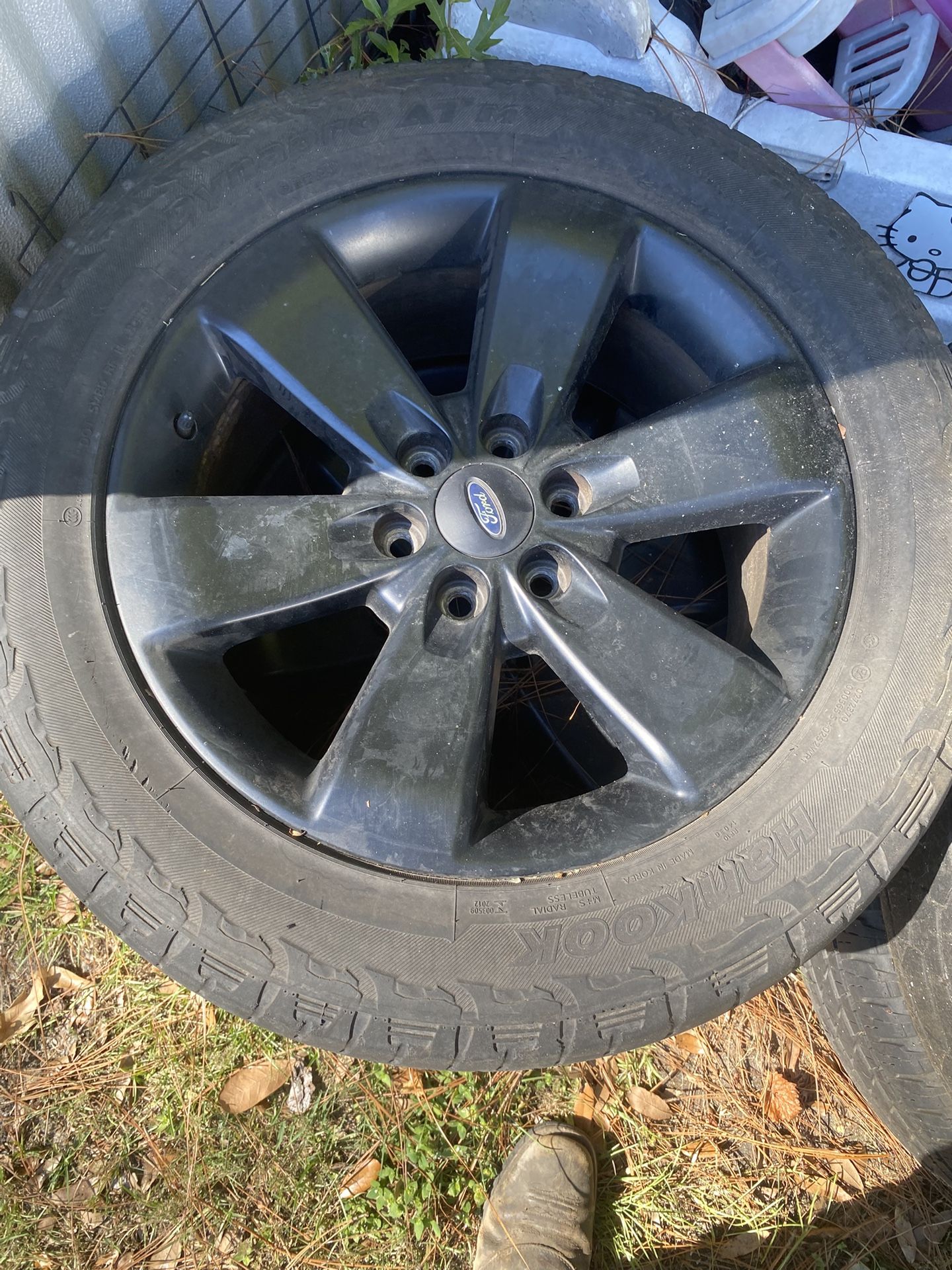 Tires and rock lights 