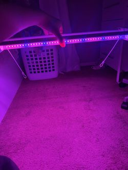 Plant grow light