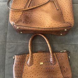 Tote And Purse