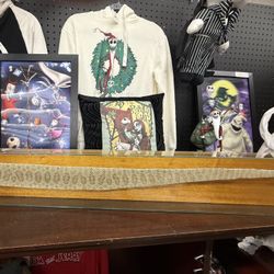 Taxidermy Rattle Snake  Display In Plexiglass