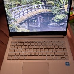 Pink HP laptop