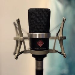 Neuman Tlm 102 Mic