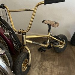Gold Bike