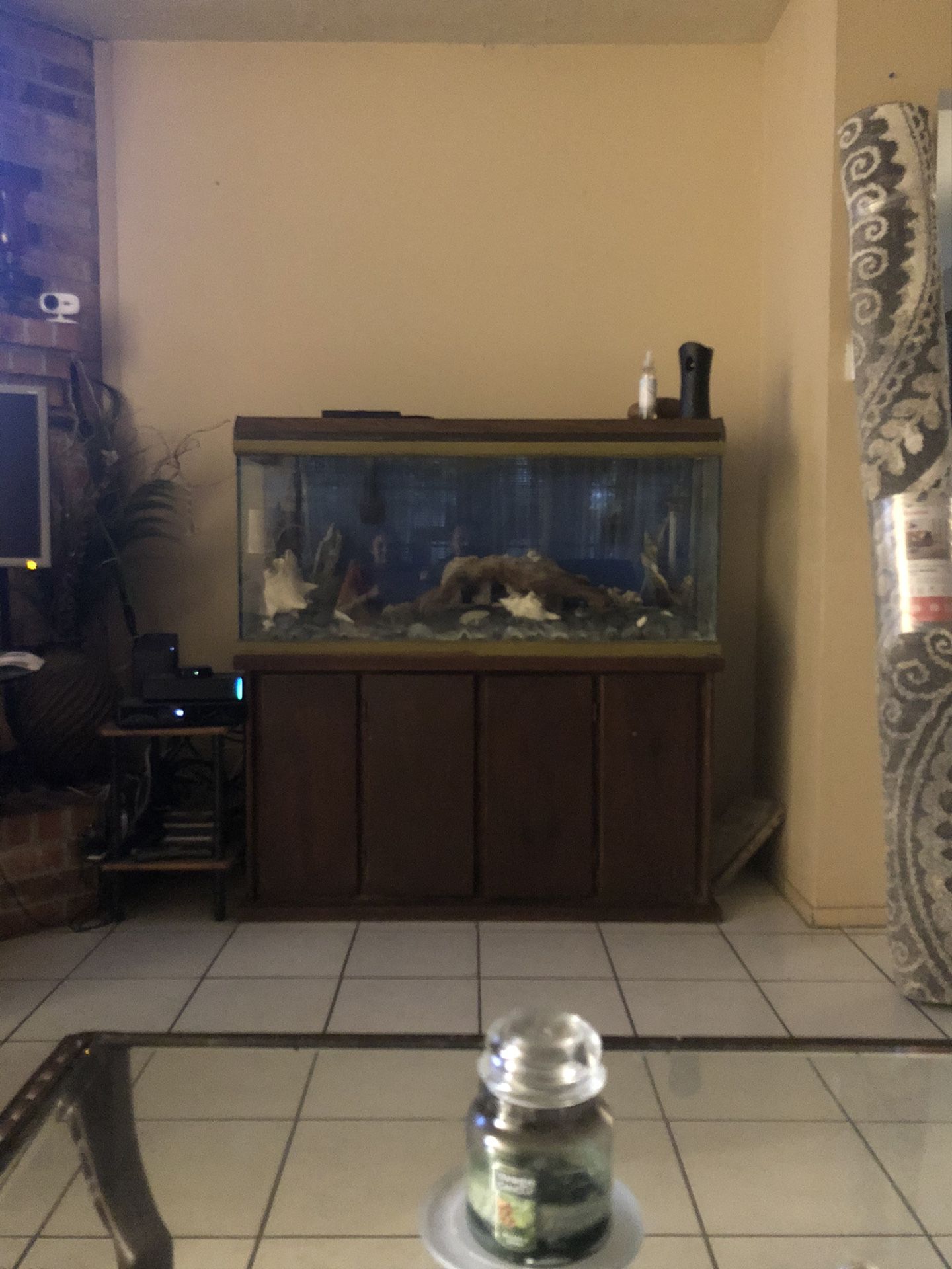 Fish tank w decorations