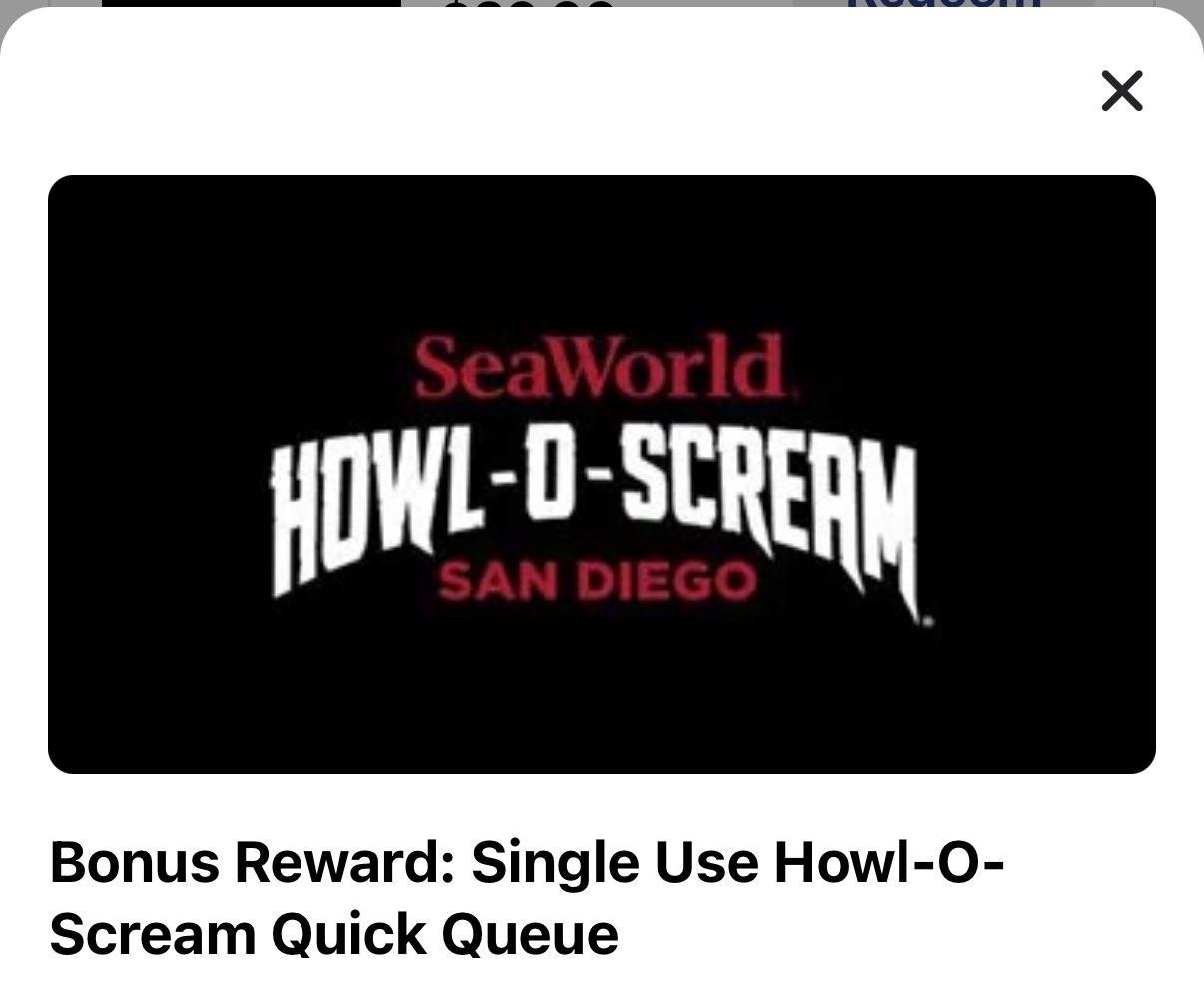 Sea World Howl O Scream With 2 Quick Queue