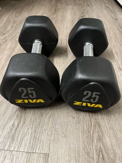 Ziva 25lb pair dumbbells weights