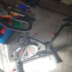 Schwimmer Cycling Bike