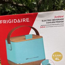 Portable Electric Cooler/ Fridge 