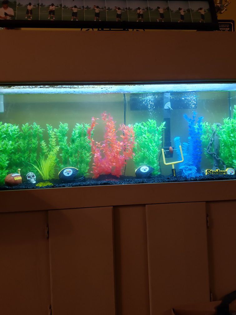 Fish Tank 75-gallon with Cabinet