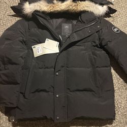 Canada Goose