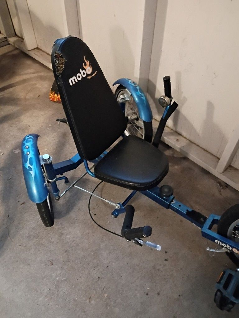 Mobo Tricycle Bike (Kids)