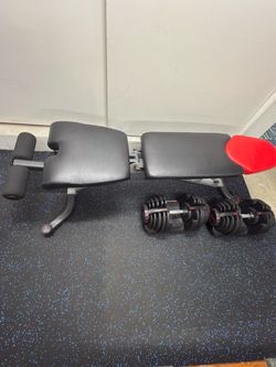 Weight Bench & Dumbbells