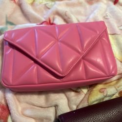 Pink Purse 