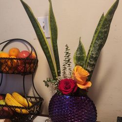 Arreglo Con Sansevieria ( Lengua De Suegra)