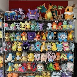 Pokémon Plushies 