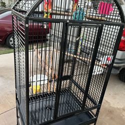 Bird Cage
