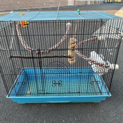 Bird cage with accessories/jaula para aves con accessorios