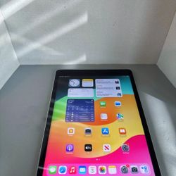 9th Gen iPad 256gb Wifi Only