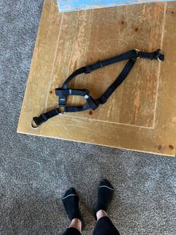 Dog harness