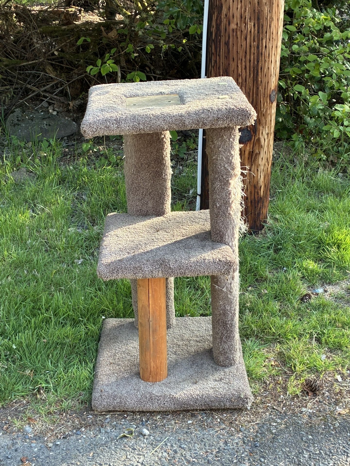 Cat Tower