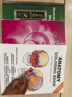 Anatomy And Massage Text Books 