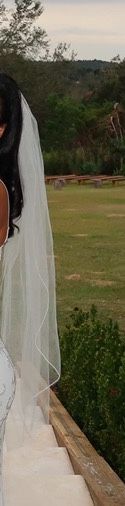 Wedding Veil