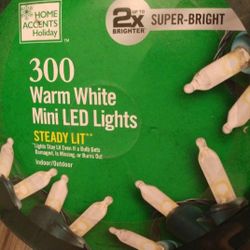 300 Warm White Mini LED Lights, White Lights, Christmas Lights, Christmas Decorations, Christmas Stuff