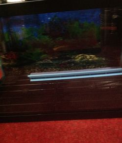 Nice 10 gallons fish tank it comes with everything you need to install it.