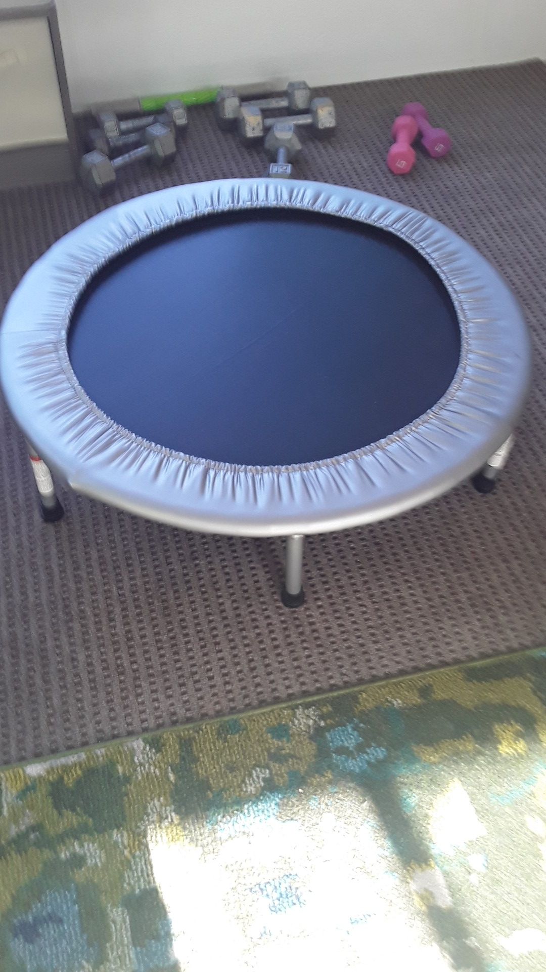 Exercise trampoline