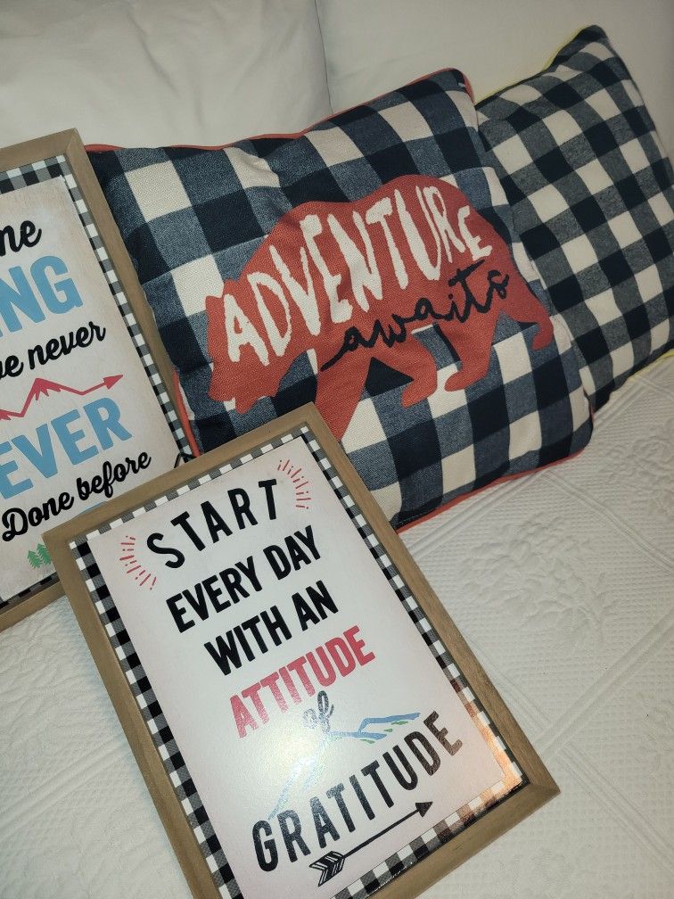 Camping/ Cabin Pillows And Pictures