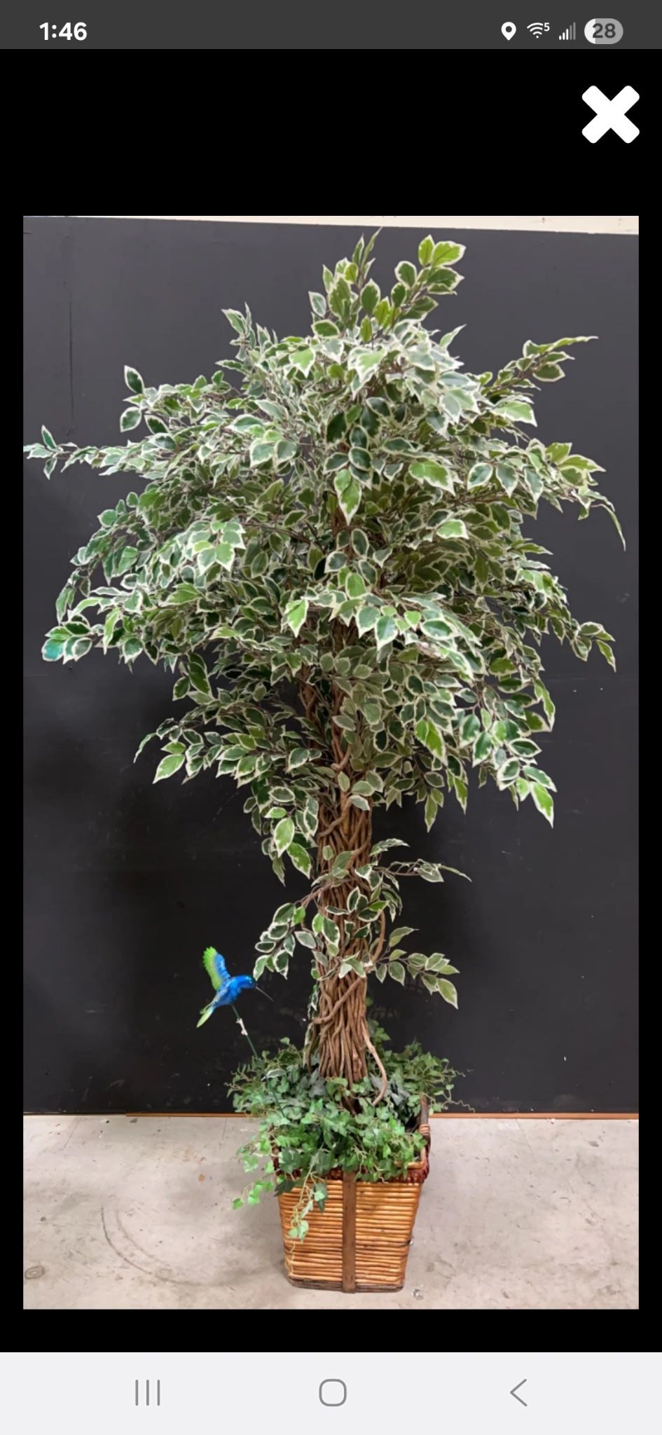 Artificial Focus Tree   8ft Tall