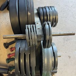 Weighted Plates (Weightlifting)