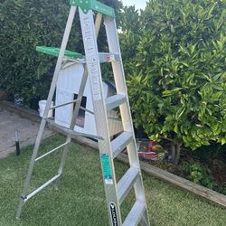 6’ Louisville Ladder