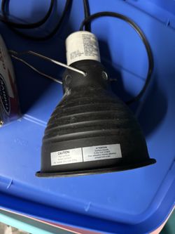 Reptile lamp