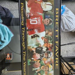 Brett Favre Framed Picture 